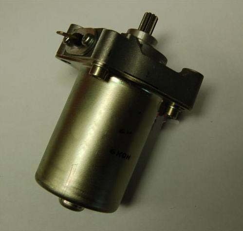 Anlasser Vortex Rok GP